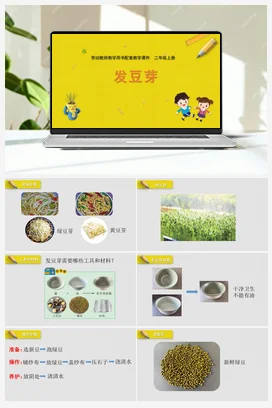 第4课发豆芽（课件） 苏教版劳动二年级上册