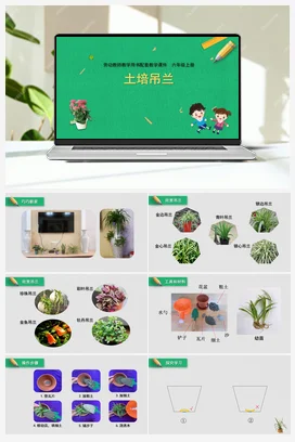 第5课土培吊兰（课件） 苏教版劳动六年级上册