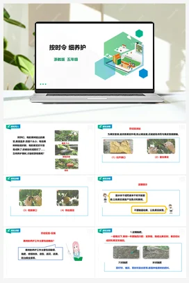 《按时令 细养护》 教案+课件 浙教版劳动五下 项目二 任务2