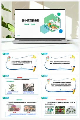 《园中蔬菜我来种》 教案+课件 浙教版劳动四下 项目二 任务2