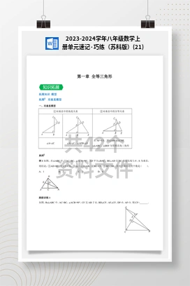 2023-2024学年八年级数学上册单元速记·巧练（苏科版）(21)