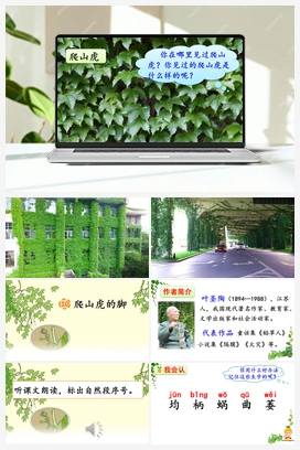 10 爬山虎的脚（课件+视频） 人教版小学语文四年级上册 第3单元